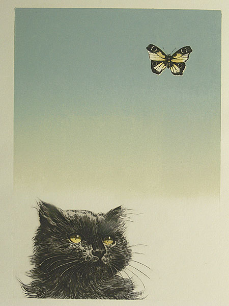 猫趣之二――黑猫与黄蝶